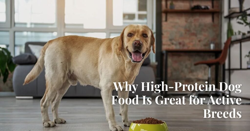 High-Protein Dog Food