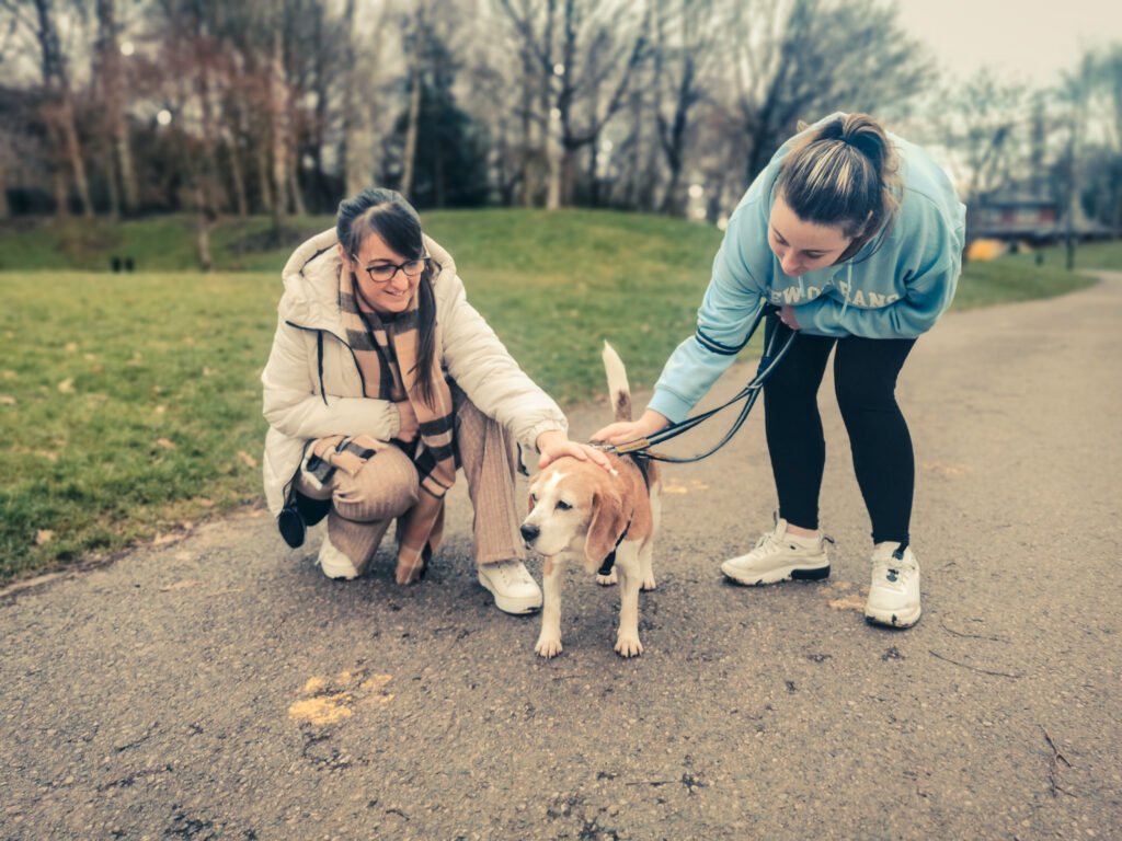 Dog care