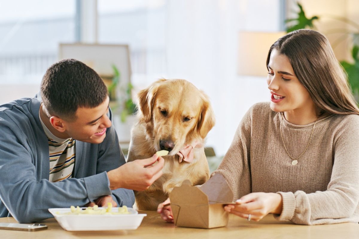  Healthy Pet Food