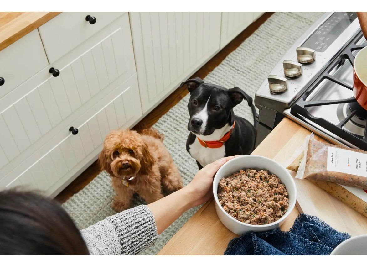 pet’s diet balanced