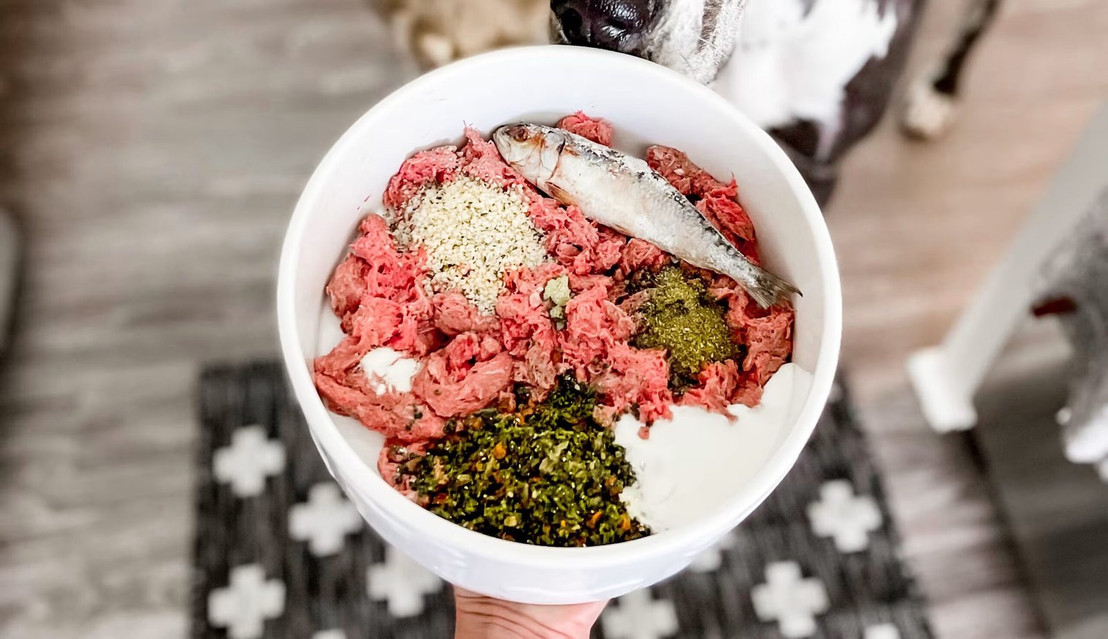 Raw Dog Food