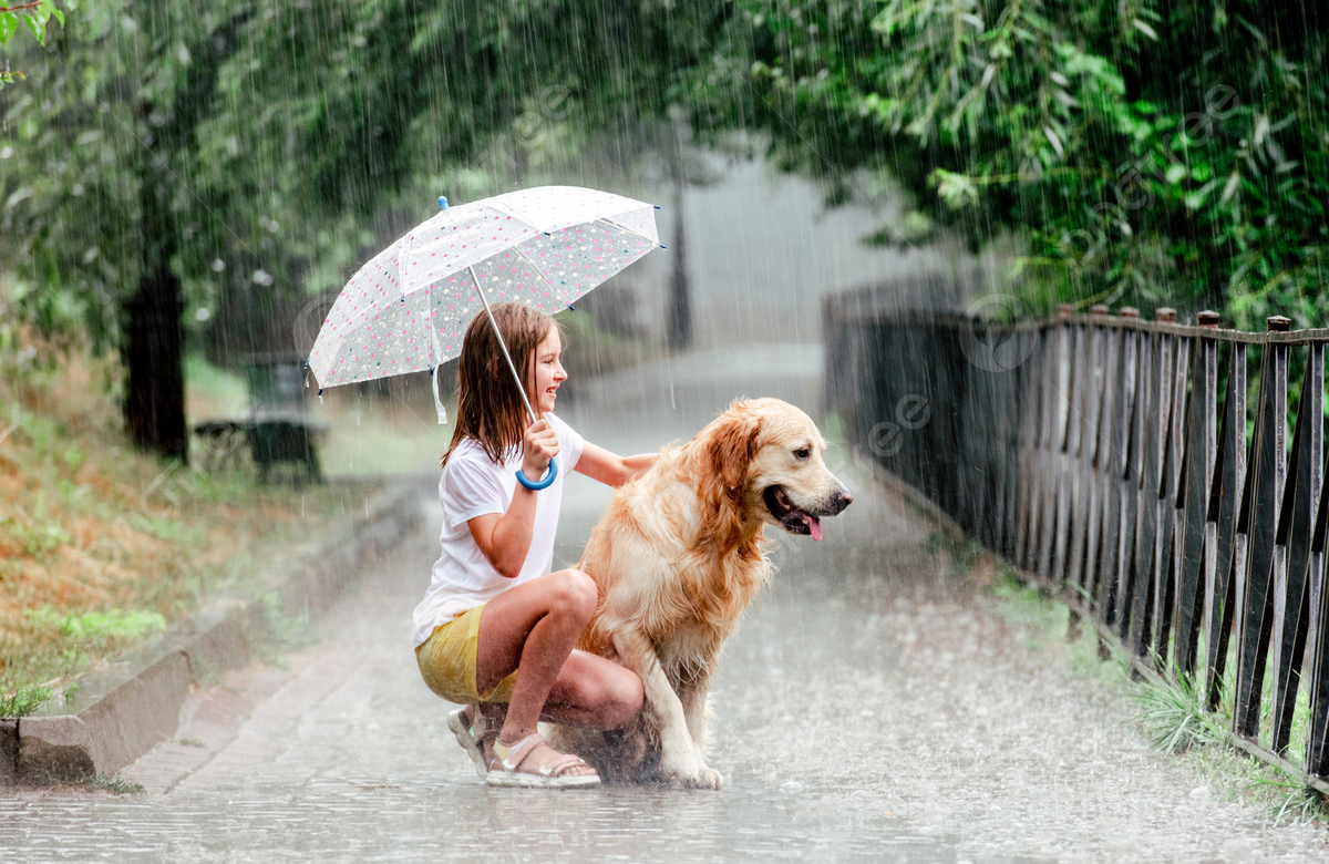  monsoon tips