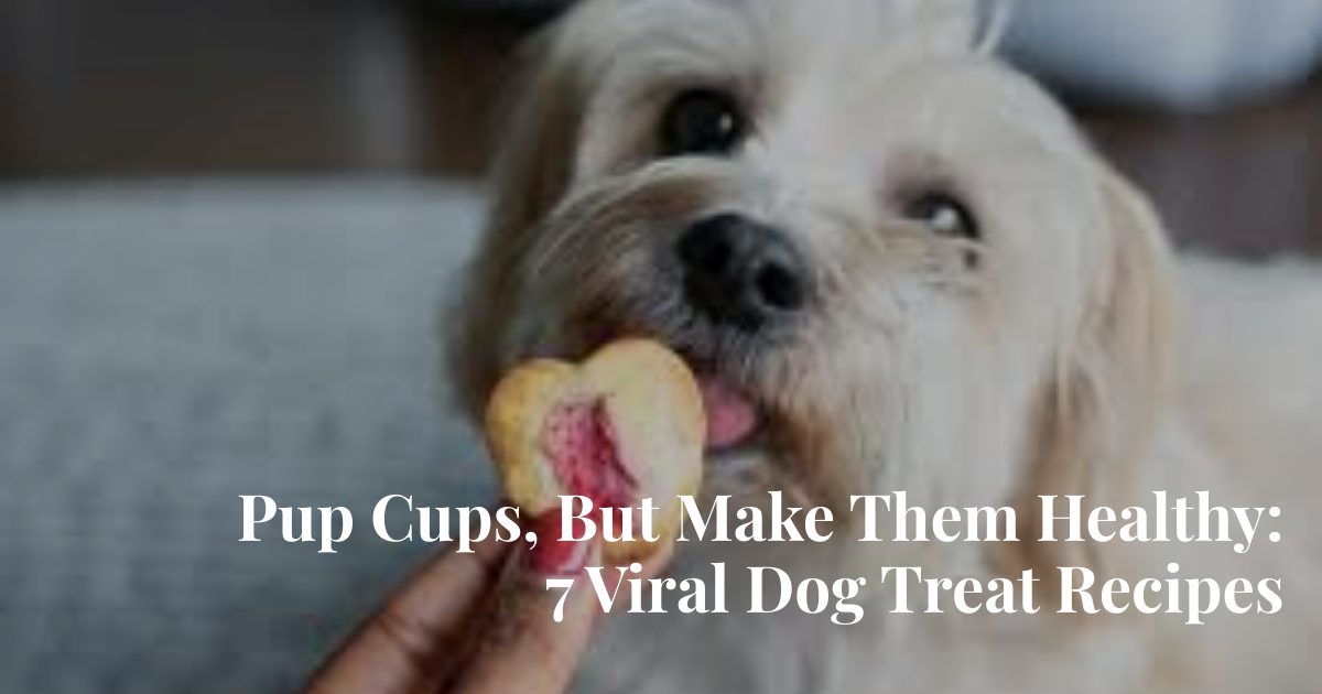 Pup Cups, But Make Them Healthy: 7 Viral Dog Treat Recipes