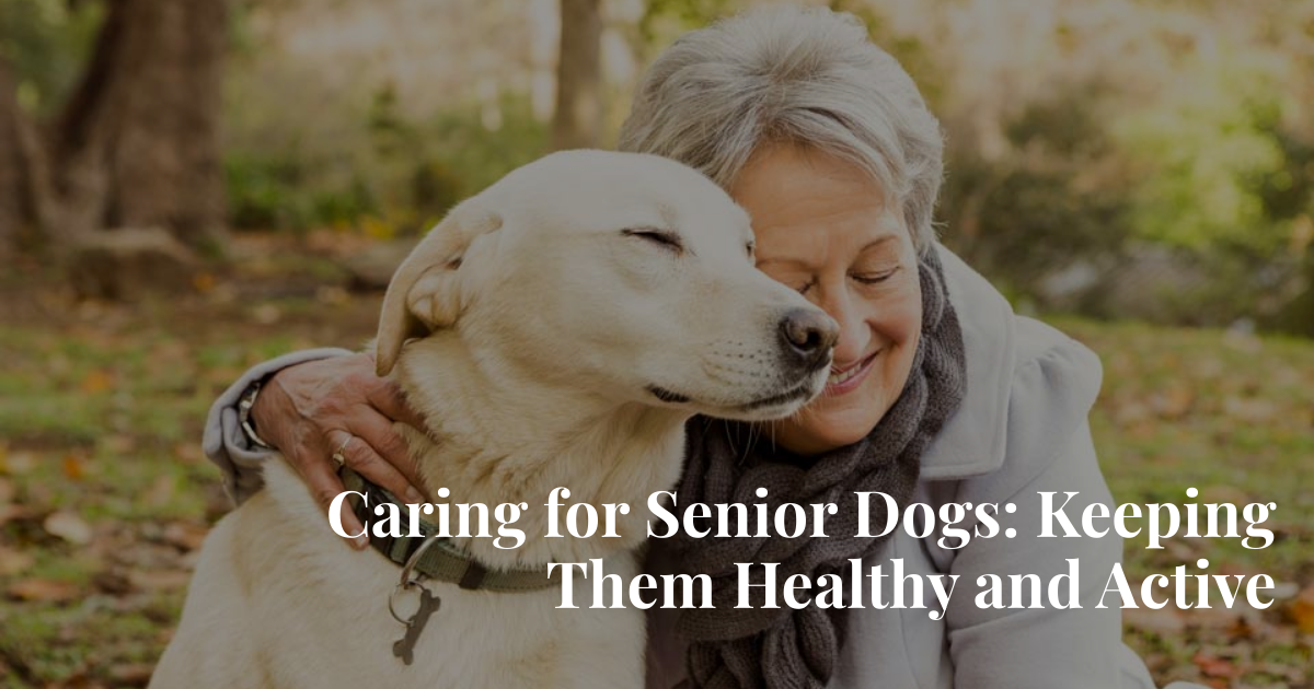 How to Keep Your Senior Dog Healthy and Active: A Loving Guide to the Golden Years