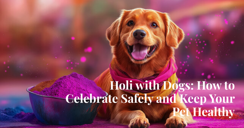 Holi with Dogs