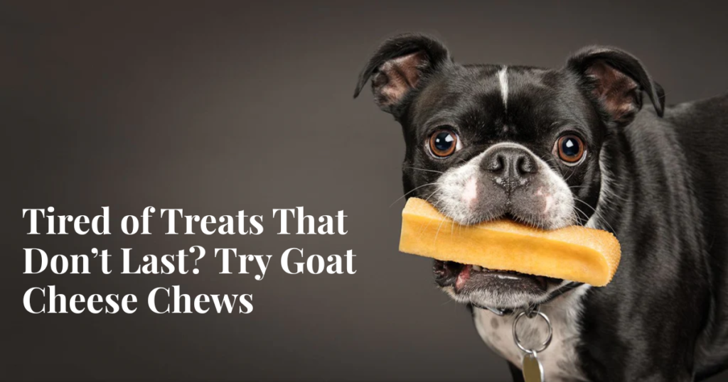Goat Cheese Chews for Dogs