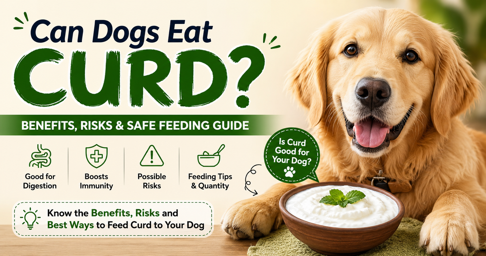 Curd for Dogs: Healthy Summer Treat or Hidden Stomach Problem?