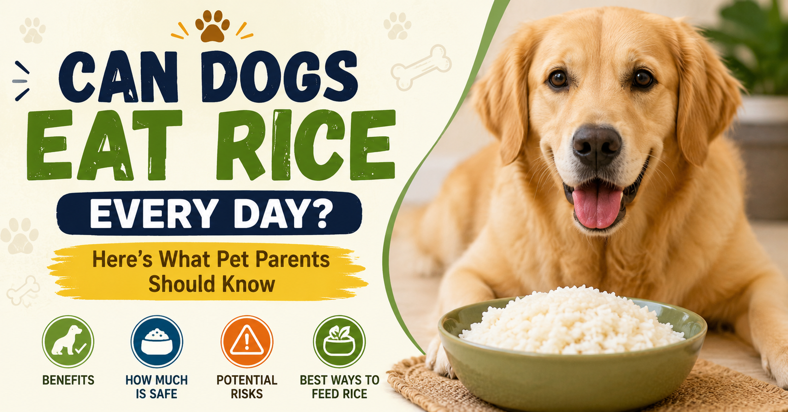 Can Dogs Eat Rice Every Day? Vet-Approved Feeding Guide for Pet Parents