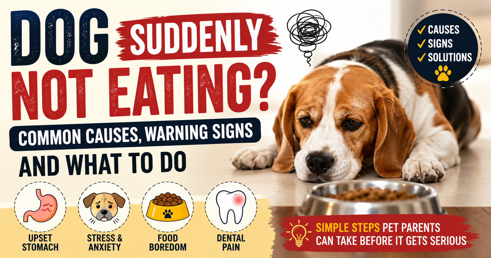 Why Your Dog Suddenly Refuses Food And When To Worry