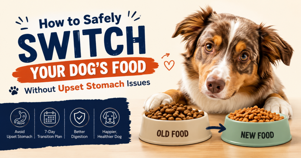 Switch Dog Food