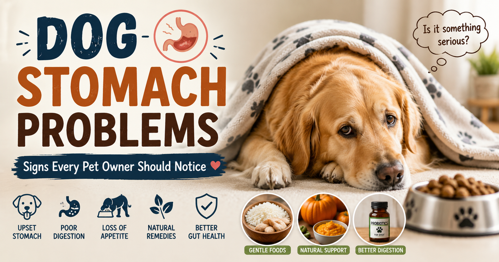 Is Your Dog’s Stomach Trying to Tell You Something?