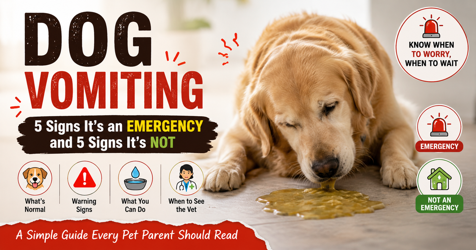 Dog Vomiting: How to Tell When It’s an Emergency and When It’s Not