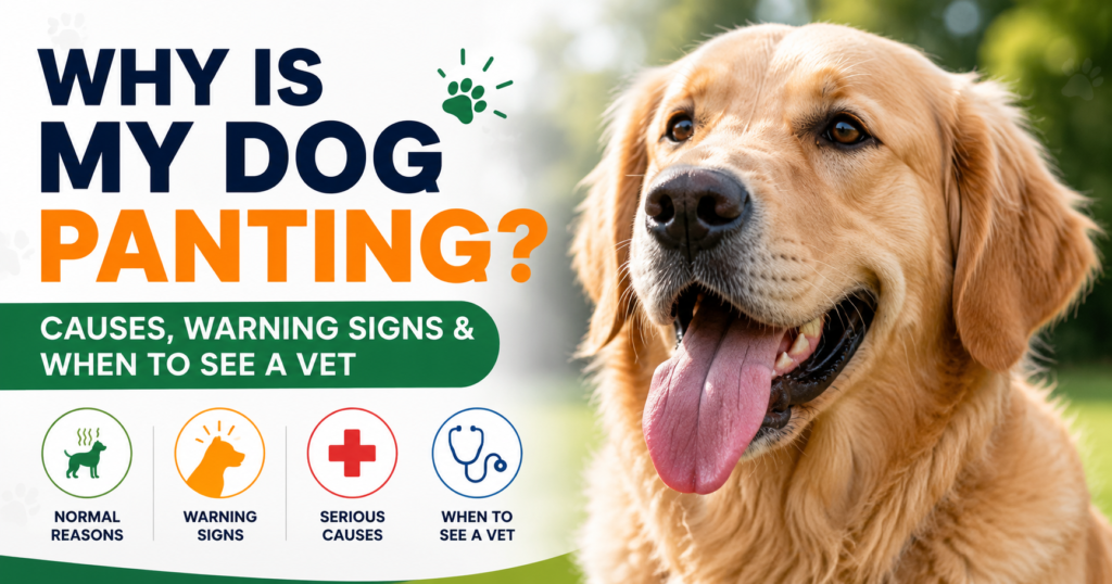 Dog Panting