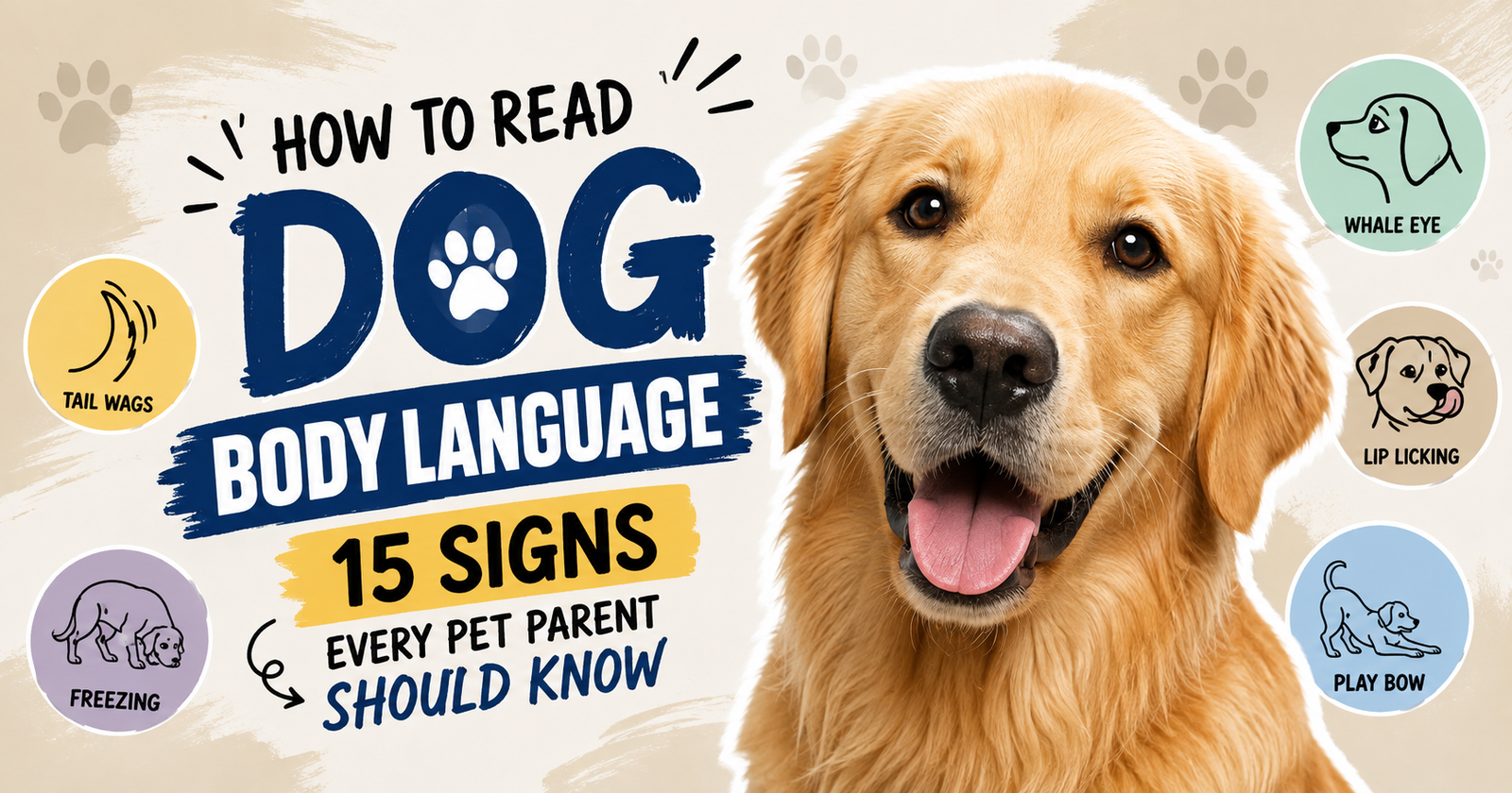 How to Read Your Dog’s Body Language: 15 Signs Every Pet Parent Should Know