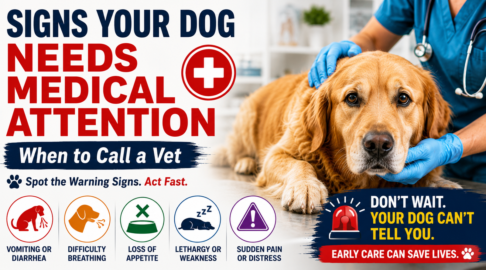 Signs Your Dog Needs Medical Attention: When to Call a Vet