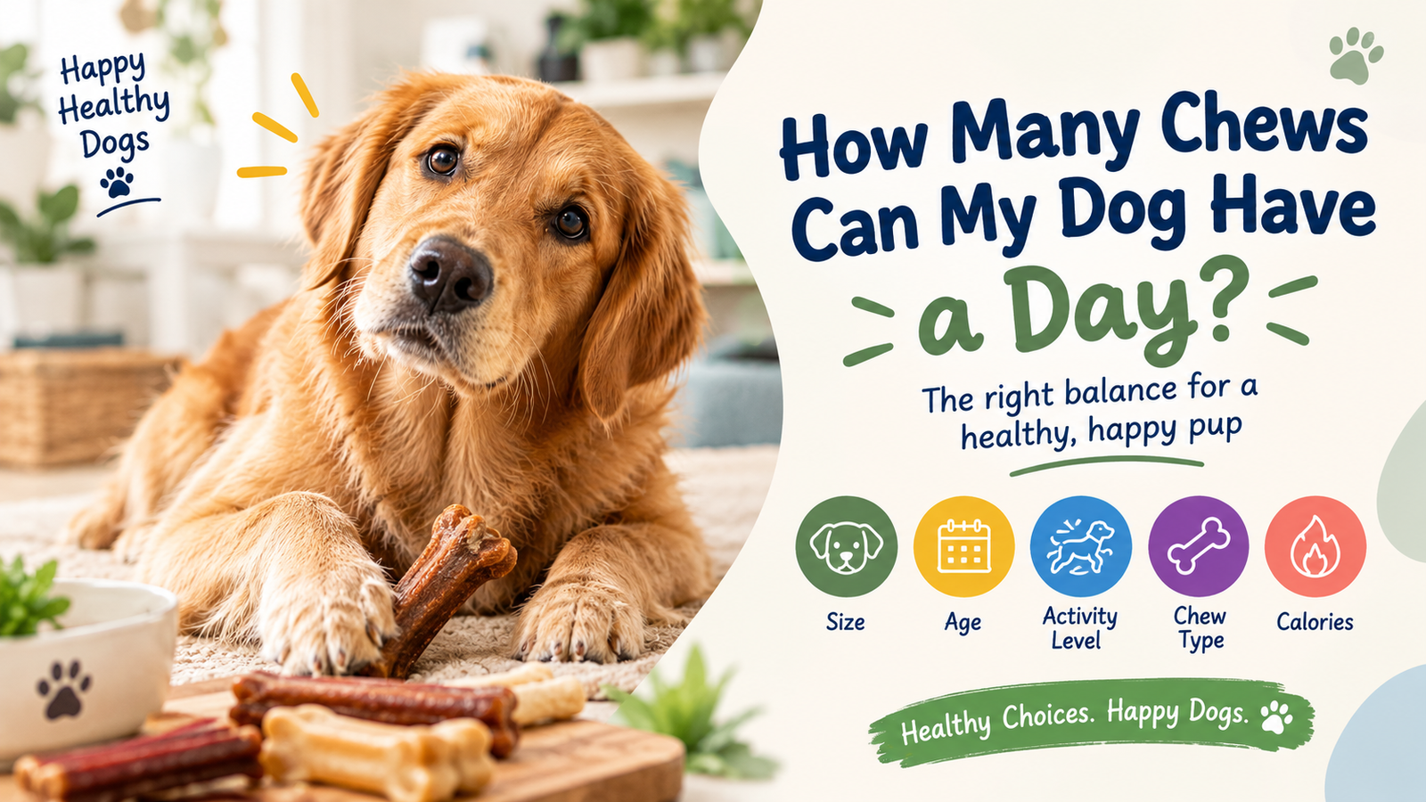 How Many Dog Chews Can Dogs Have? Daily Guide by Age, Size & Type